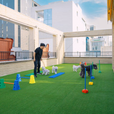 멍문유치원 1일 체험하고 반려견 행동 상담 및 15000P 받아가세요!