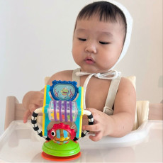 식사시간 집중력 UP! 쎄씨 바다친구 흡착장난감