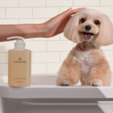 반려동물을 위한 보다더 펫샴푸 추천!