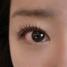 마젤또와브로우