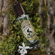 화이트데이선물로 좋은 향수, 쿠시 107♥