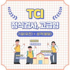온라인 TCI 기질 심리검사 고급형 추천해요♥