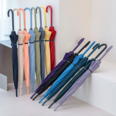 카르페디엠 스마트 베이직 자동 장우산