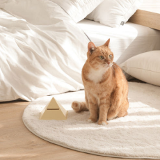 반려묘 필수템 !! 펠리노스 릴렉싱 디퓨저로 고양이 스트레스 완화!