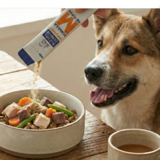 소중한 반려견 관절을 위한 펫클 포뮬러M 콘드로이친 관절영양제 추천♥