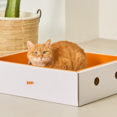 3651 bukbuk 벅벅 감귤박스 고강도 고양이 스크래쳐