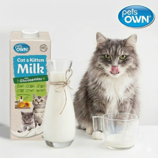 소중한 반려묘를 위한 펫츠온 펫밀크 캣앤키튼 추천해요♥