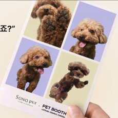반려동물 인생사진 남겨주러 펫부스 오세요♥