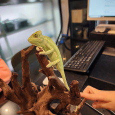 아이들과 함께 이색적인 원데이클레스 체험해 보세요~♥