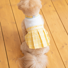 메종에떼 강아지옷 피크닉 원피스