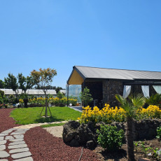 [제주/4/7~4/9 방문] 제주도 감성 숙소 추천! 독채 펜션 보름못으로 오세요♥