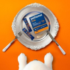 펫쏘몰 강아지 프로바이오틱스 라이브 플러스♥