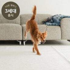 미끄럼방지 펫 러그