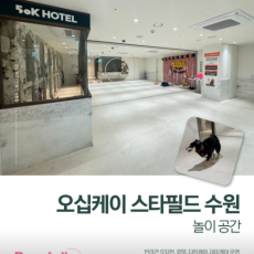 스타필드 애견호텔