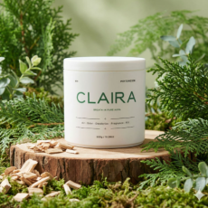 고체탈취제 CLAIRA 피톤치드향 화장실 악취 새집증후군 냄새 제거