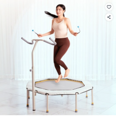 성인 대형 점핑 다이어트 방방이! 로베라 팔각 트램폴린