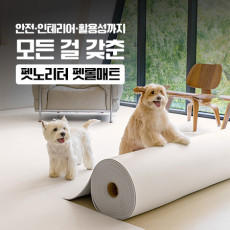 반려동물을 위한 펫노리터 펫롤매트 추천해요♥