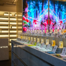 로얄워터 홍대점에서 향기로운 데이트하고 가세요 :)