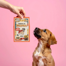 펠릿테일 강아지 유산균 추천♥