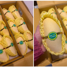 열대 과일 천국! 프리미엄 망고는 마무엉