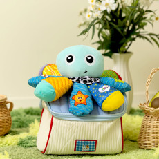 라마즈 미니문어음악대