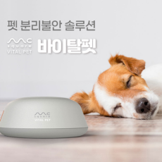 반려동물 정서안정에 바이탈펫 디바이스 추천!