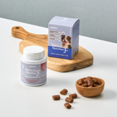 베츠초이스 뉴트리션 관절 플러스 영양제♥