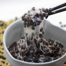 낫또유목민 정착 완료!