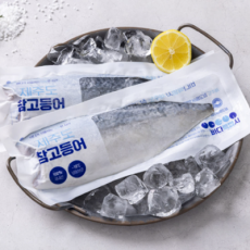 바다특별시 제주도 참고등어 추천해요♥