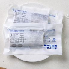 바다특별시 제주도 은갈치 추천해요♥