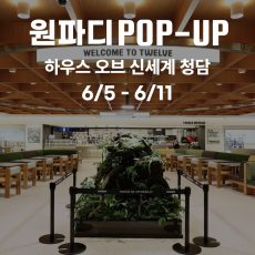 올해 가장 핫한 팝업, 하우스오브신세계 청담 트웰브에서 열리는 원파디 시즈닝 앵콜 팝업! 구경오세요!