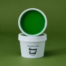 그린센트 에브리데이 고체 탈취제 피톤치드 편백향 100g