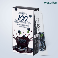 웰리치 블루베리 퓨레 100