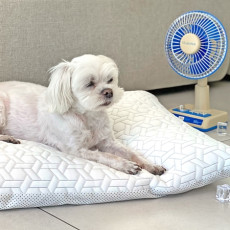 소형 반려동물을 위한 베비돔 듀라론방석♥