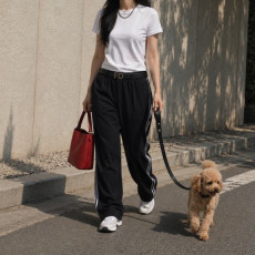 강아지 리드줄 + 강아지 목줄
