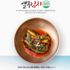 건강담은 15년 업력의 K김치! 시원한 열무김치 드세요~