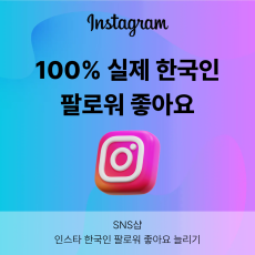 인스타 실제 한국인 팔로워 / 좋아요 늘리기