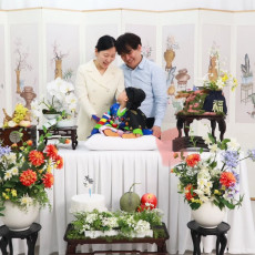 백일 돌상은 돌스앤베이비스튜디오에서 셀프로 준비하세요