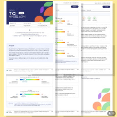 TCI 기질 및 성격검사