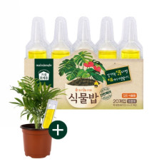 메이크정글 테이블야자 화분+식물밥 영양제로 플랜테리어 하세요!