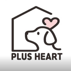 [경기/광주] 플러스하트 호텔링 & 데이케어 유치원♥