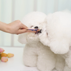 강아지,고양이 닭고기 젤리스틱 영양제 츄르