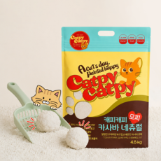 [스스/당일구매] 캐피캐피 천연 식물성 고양이 모래 모찌 카사바 네추럴