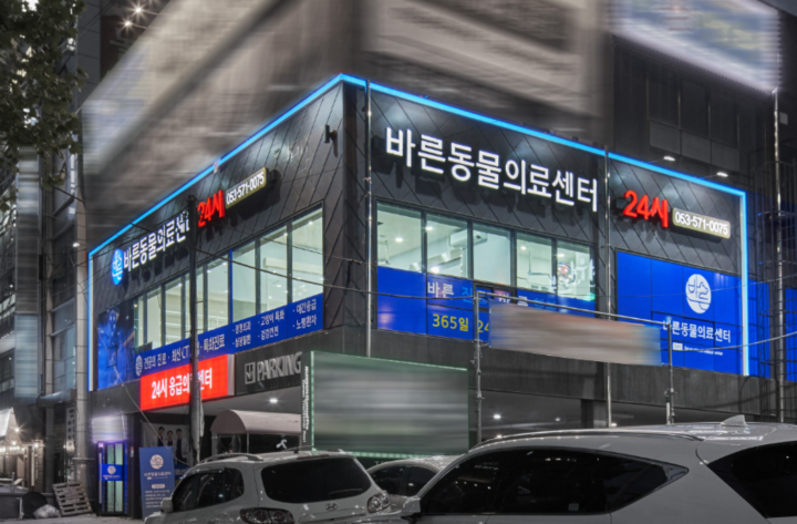 [대구] 노령견 심장진단! 바른동물의료센터에서 꼼꼼하게 받아보세요:)
