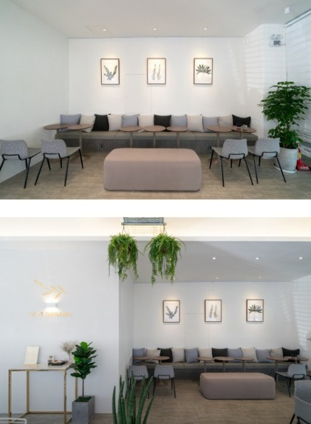 [서울/영등포] 식물 인테리어 카페, 분위기 좋은 카페 오가닉으로 오세요!