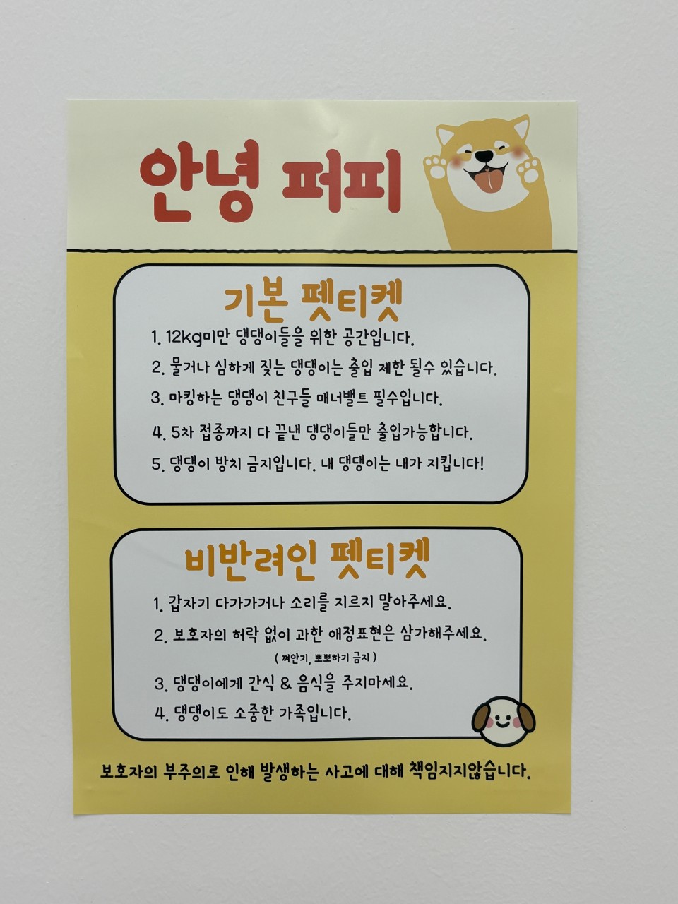 [서울/송파구] 애견카페에서 강아지와 즐거운 시간 보내고 가세요~!