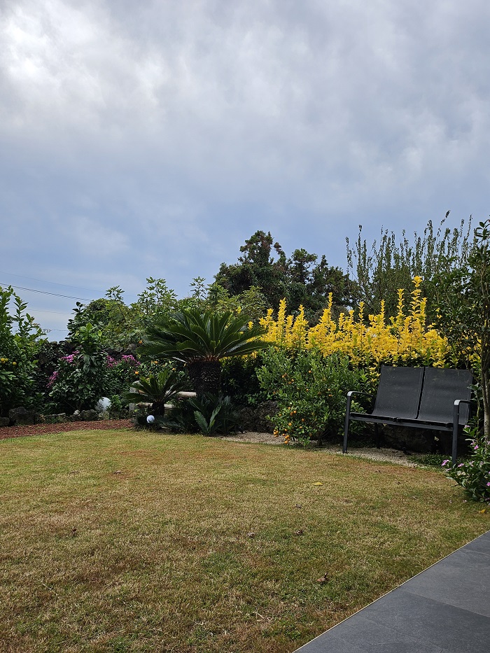 [제주/4/21(화)~4/22(수) 방문] 제주도 감성 숙소 독채 펜션 보름못으로