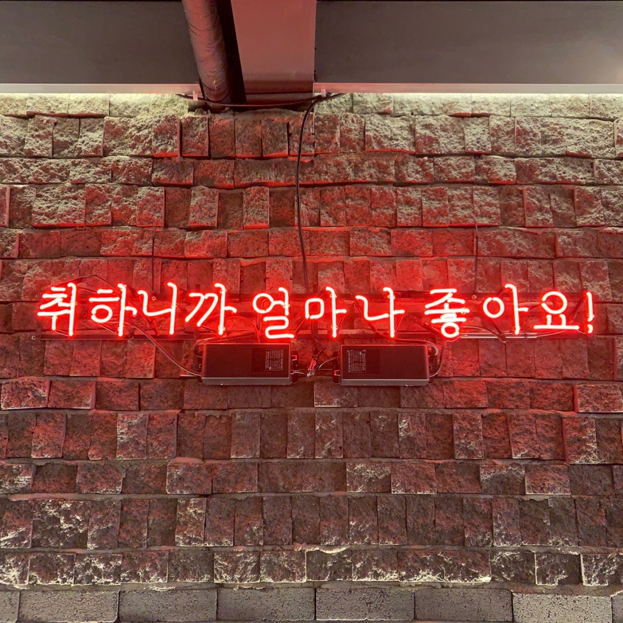 [제주/연동/릴스] 제주공항 근처 분위기 맛집 안주맛집 생활맥주 제주연동점 ~♥