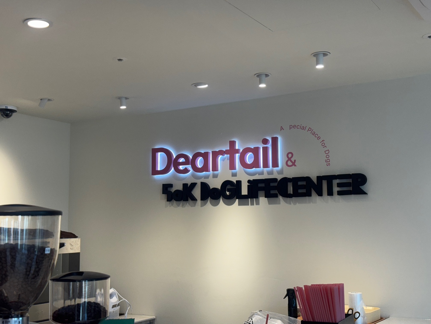 [경기/수원] 반려견 데이케어는 오십케이 스타필드수원직영점에서!