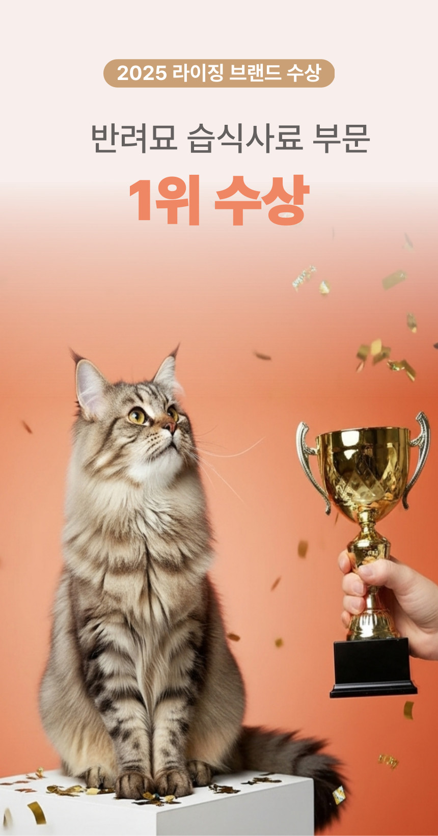 [블로그] To.집사, 나도 촉촉한 밥이 좋다옹